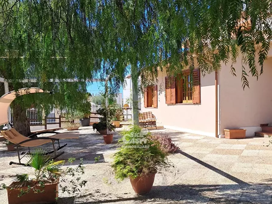 Immagine 2 di Terreno edificabile in affitto  a Marsala