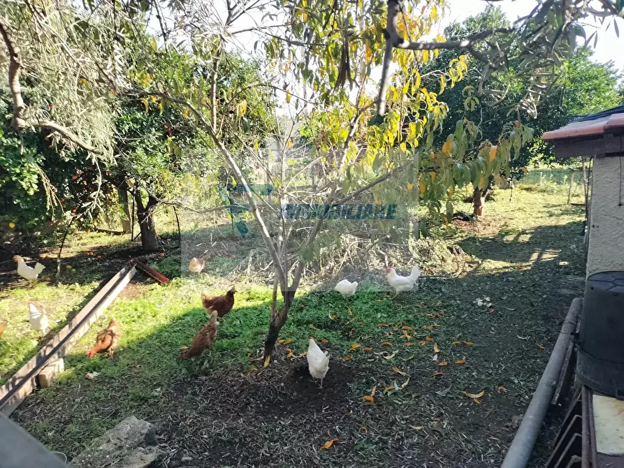 Immagine 3 di Terreno edificabile in vendita  in Via Monti Climiti a Buccheri