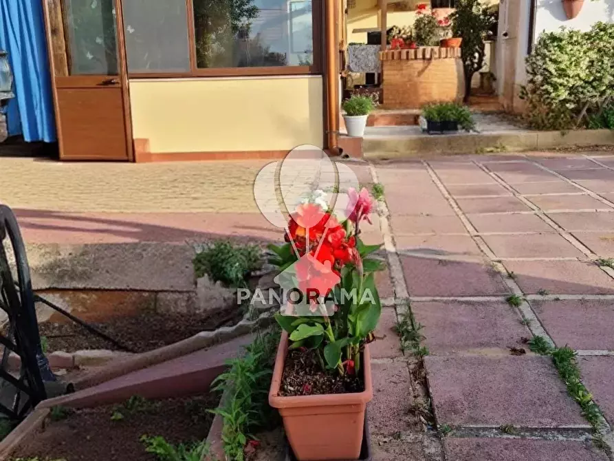 Immagine 17 di Terreno edificabile in vendita  in B&B falconeria a Partinico