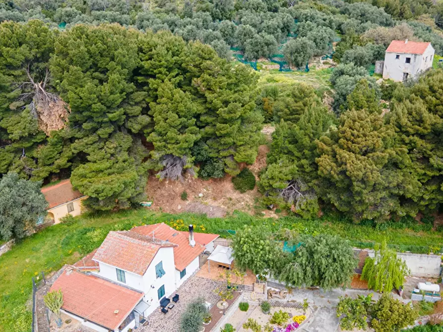 Immagine 10 di Terreno edificabile in vendita  a Imperia