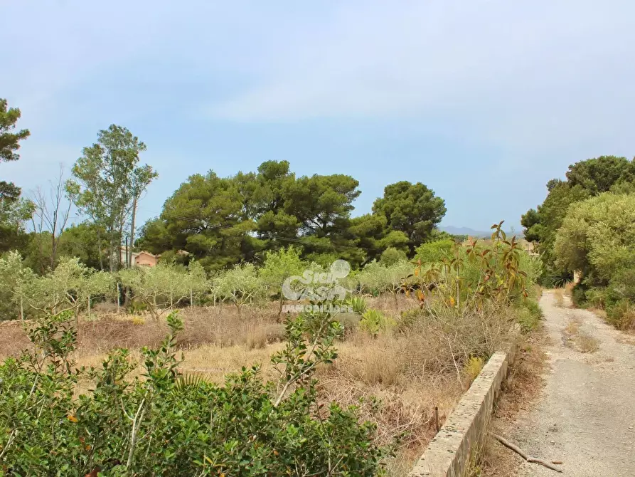 Immagine 6 di Terreno edificabile in vendita  a Marsala