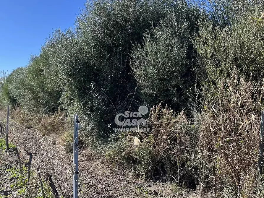 Immagine 21 di Terreno in vendita  a Marsala