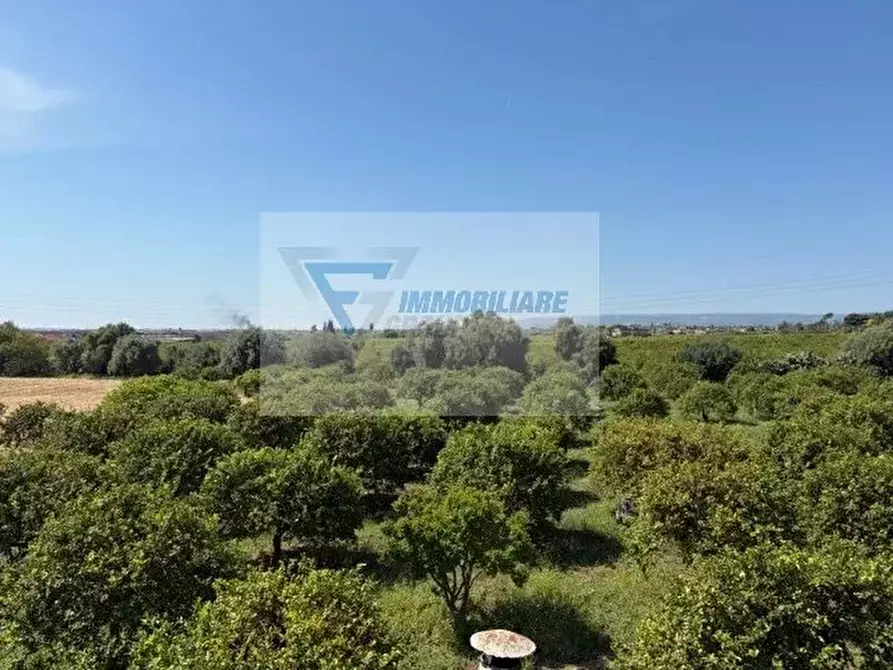 Immagine 24 di Terreno in vendita  in Strada Tremmilia a Siracusa