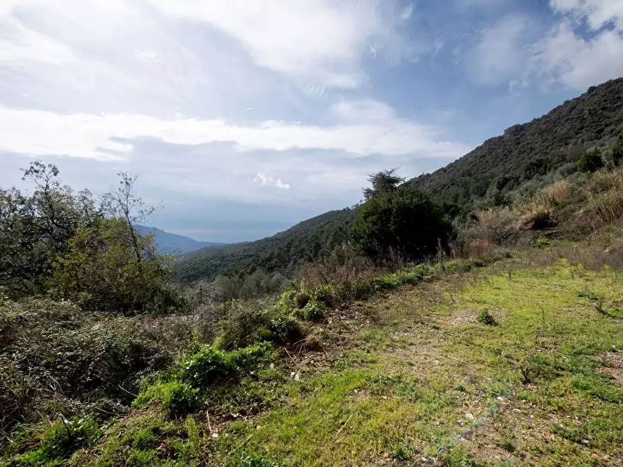Immagine 44 di Terreno edificabile in vendita  in Via Nansola a Avegno