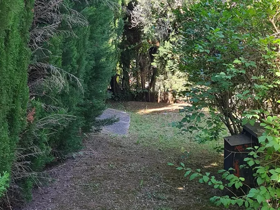 Immagine 9 di Terreno edificabile in vendita  in Canneto Sabino a Casaprota
