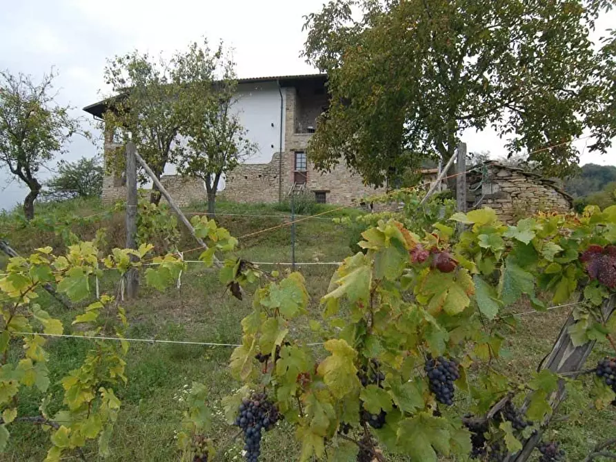 Immagine 32 di Attico in vendita  a Alto