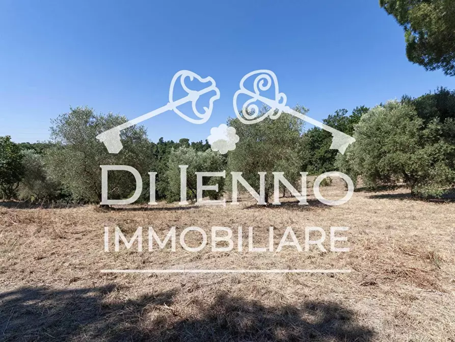 Immagine 5 di Terreno in vendita  a Roma