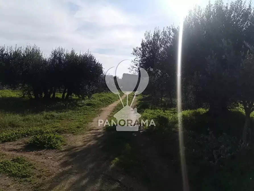 Immagine 5 di Terreno in vendita  in Contrada San Cataldo a Capaci