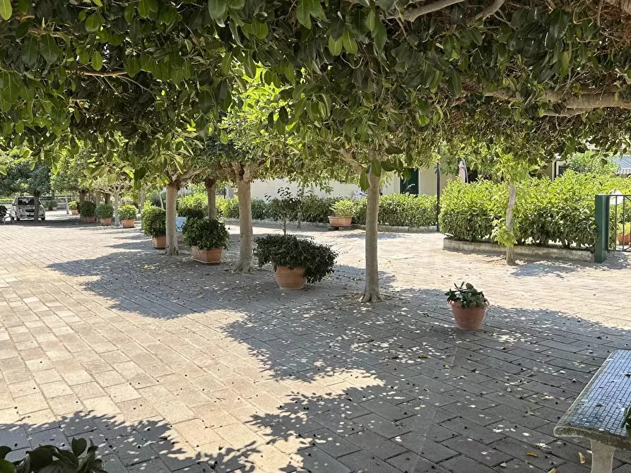 Immagine 16 di Casa trifamiliare in vendita  in Via Ischia, 18 a Villapiana