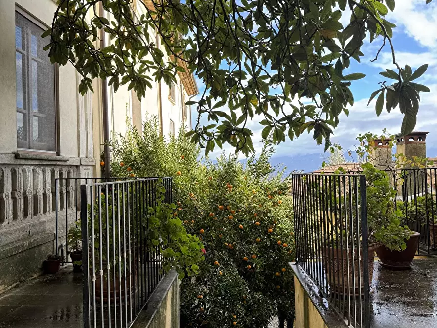 Immagine 6 di Terreno edificabile in vendita  a Altilia