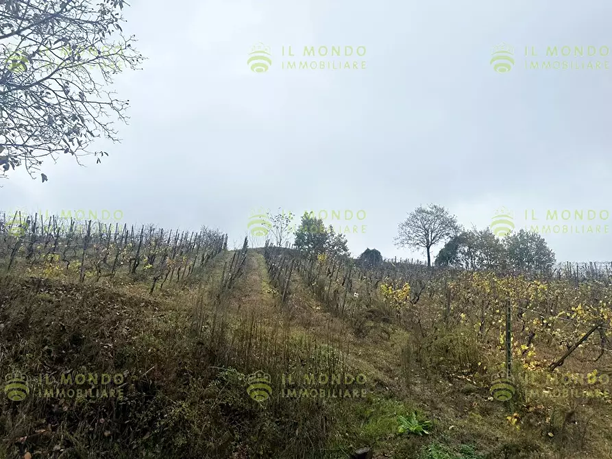 Immagine 22 di Terreno edificabile in vendita  in Località Lago, 15 a Albaredo Arnaboldi