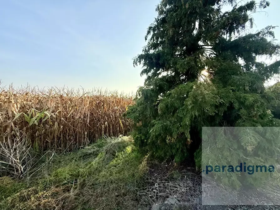 Immagine 12 di Casa trifamiliare in vendita  in Via Orti Camprella, 15 a Sale