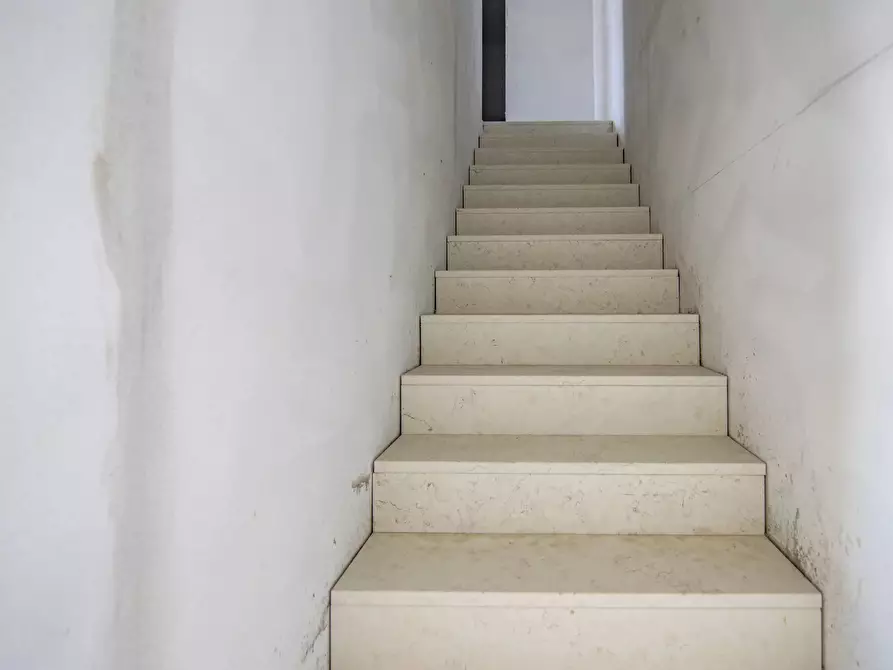 Immagine 7 di Terreno edificabile in vendita  a Piove Di Sacco