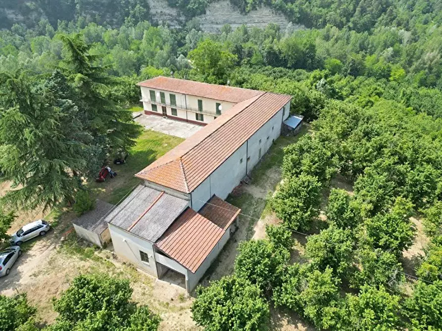Immagine 12 di Terreno edificabile in vendita  a Albaretto Della Torre