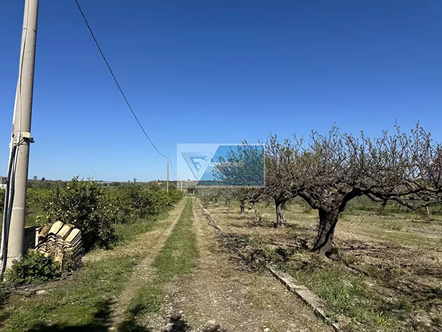 Immagine 13 di Terreno in vendita  a Noto