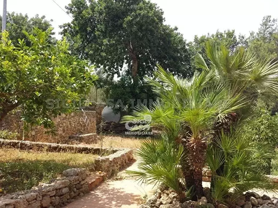 Immagine 2 di Terreno edificabile in vendita  a Marsala