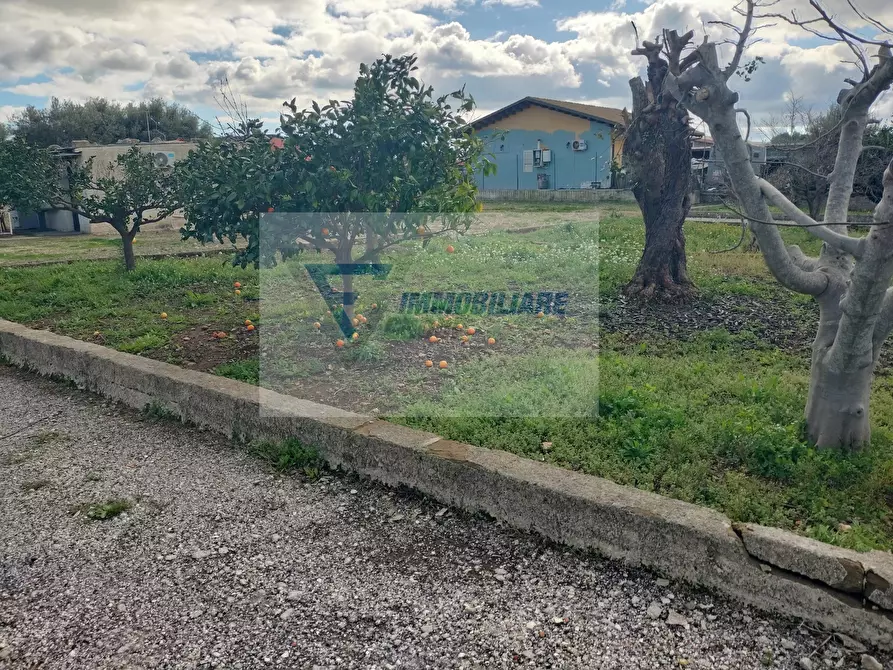 Immagine 6 di Terreno in vendita  in Contrada Biggemi a Buccheri