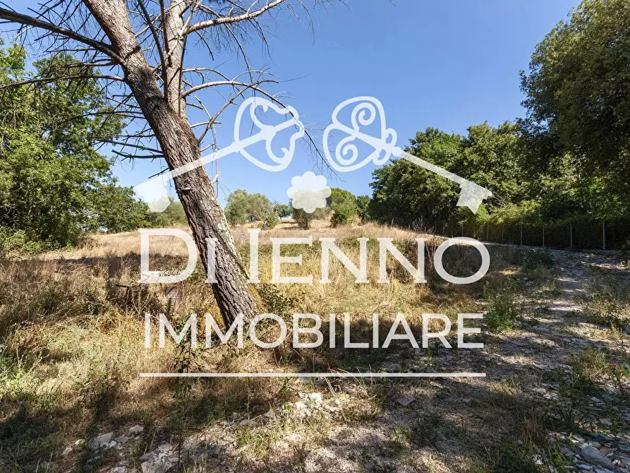 Immagine 10 di Terreno in vendita  a Roma