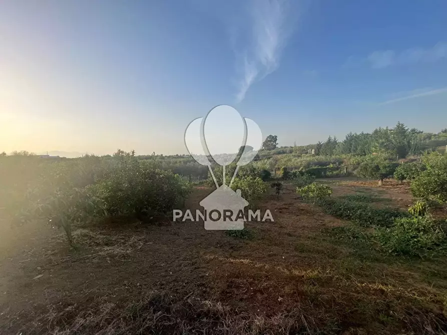 Immagine 16 di Terreno edificabile in vendita  in Contrada Velez a Partinico
