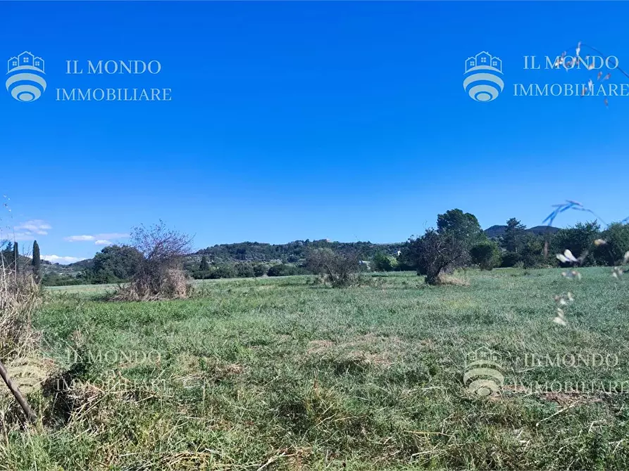 Immagine 4 di Terreno in vendita  in Località Albanetta a Palombara Sabina