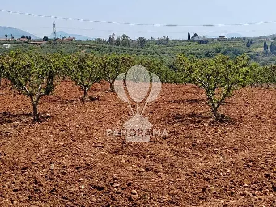 Immagine 11 di Terreno in vendita  in Via Adda Partinico a Partinico