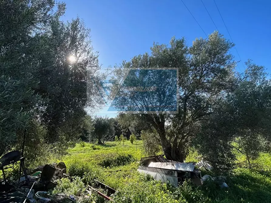 Immagine 6 di Terreno in vendita  in Trav. Mulino Marino a Siracusa