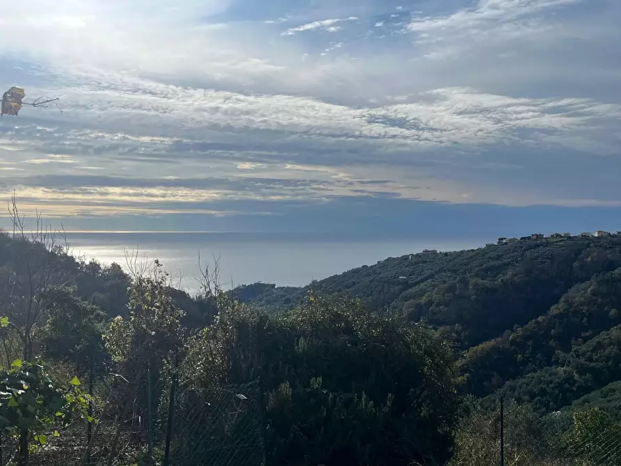 Immagine 9 di Terreno edificabile in vendita  in Sorlana a Lavagna