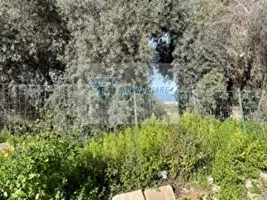Immagine 5 di Terreno in vendita  in Via Goffredo Mameli a Siracusa
