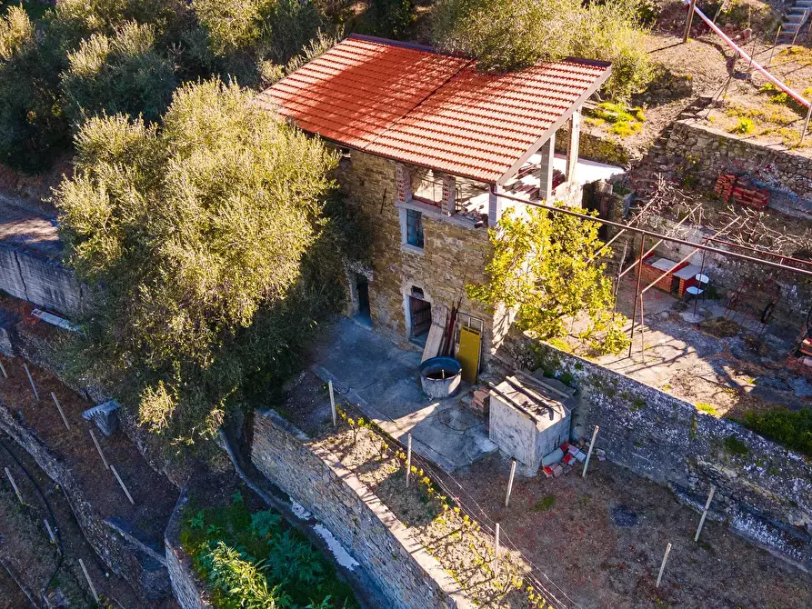 Immagine 1 di Terreno in vendita  a San Biagio Della Cima