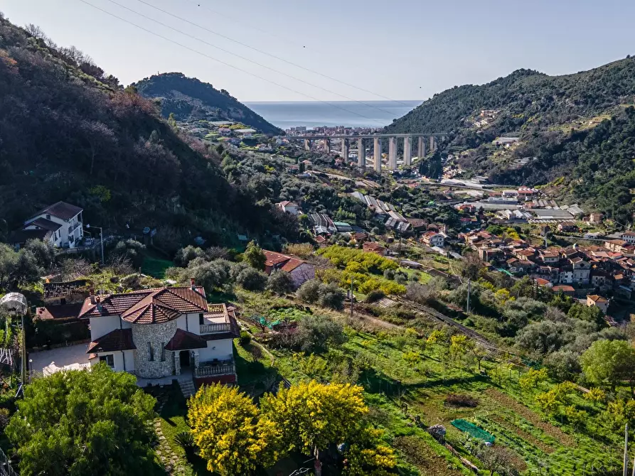 Immagine 31 di Terreno edificabile in vendita  in regione nofea vallecrosia a Vallecrosia