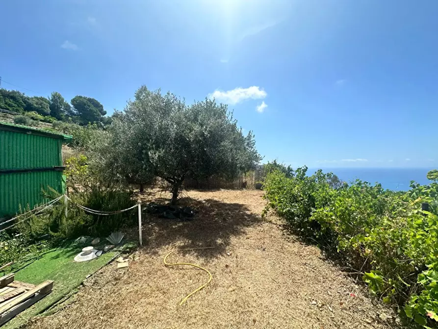 Immagine 17 di Terreno edificabile in vendita  in Via Nappio, 39 a Ventimiglia