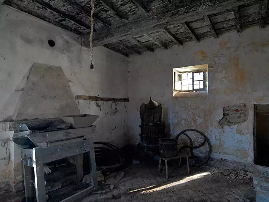 Immagine 7 di Terreno edificabile in vendita  a Bene Vagienna