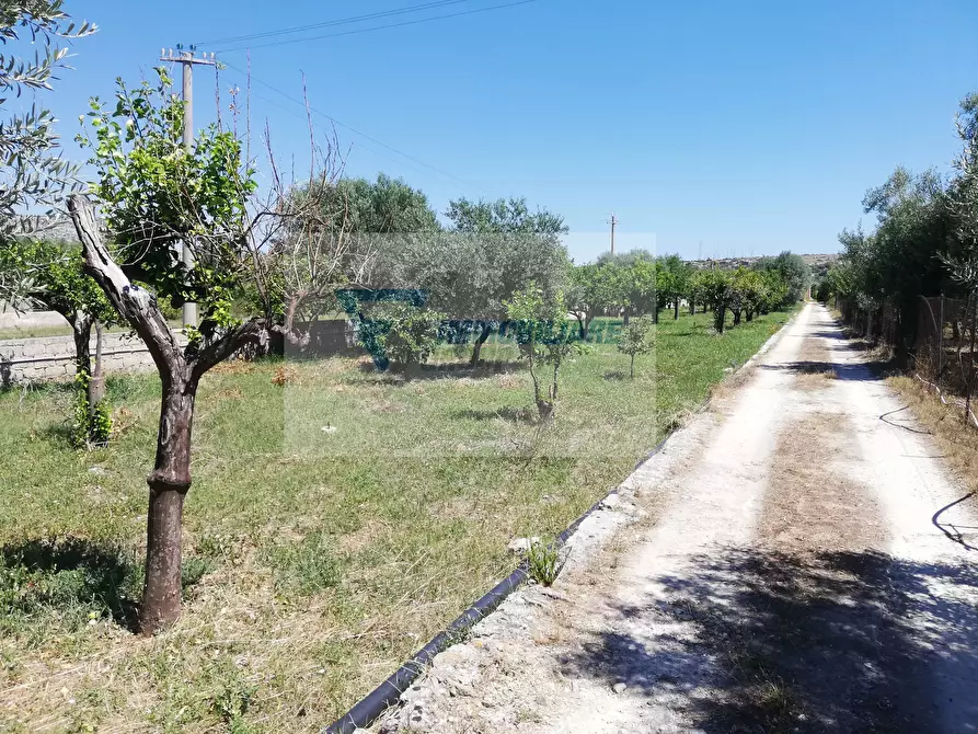 Immagine 8 di Terreno edificabile in vendita  in Traversa Vallone Carancino a Siracusa