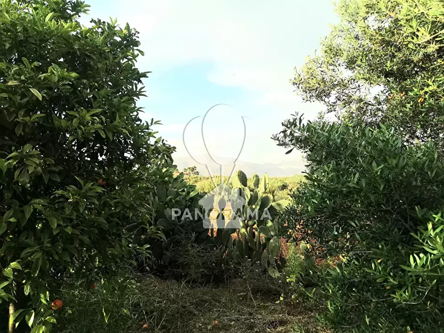 Immagine 22 di Terreno edificabile in vendita  in SS113 a Partinico