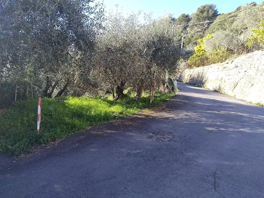 Immagine 5 di Terreno in vendita  in Via Sant'Anna a Ventimiglia