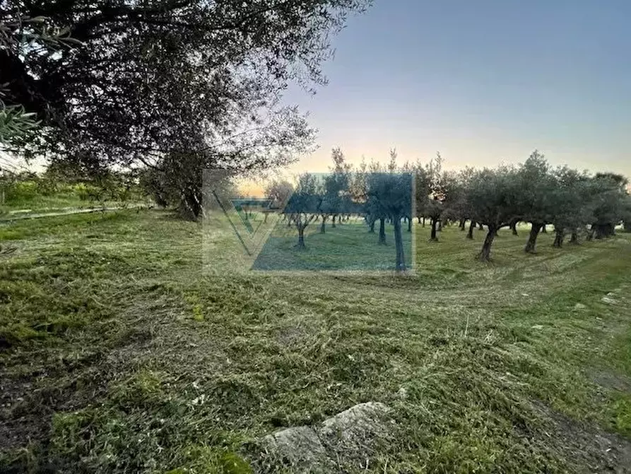 Immagine 7 di Terreno in vendita  in C.da  Carancino a Siracusa