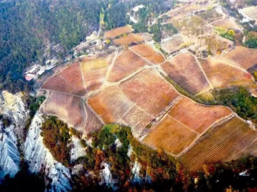 Immagine 2 di Attico in vendita  a Cassinasco