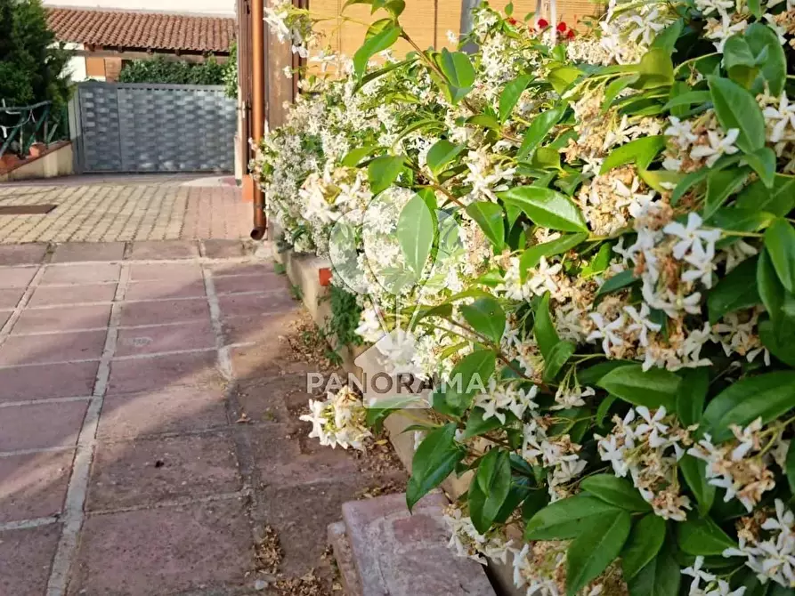 Immagine 22 di Terreno edificabile in vendita  in B&B falconeria a Partinico