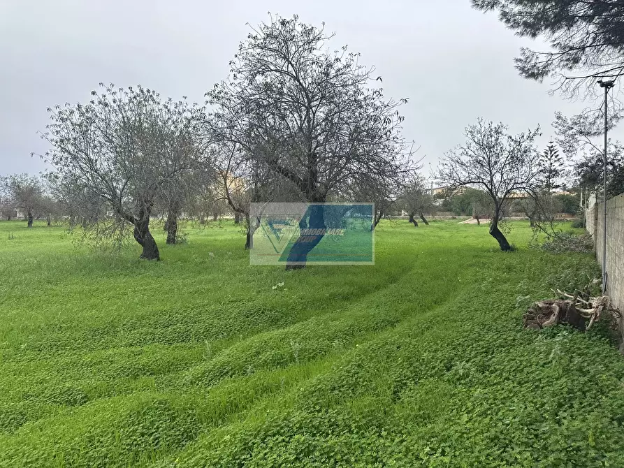 Immagine 26 di Terreno edificabile in vendita  in Rametta noto a Noto