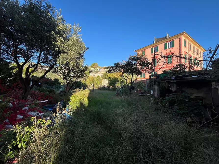 Immagine 12 di Casa trifamiliare in vendita  in Via Aurelia a Lavagna