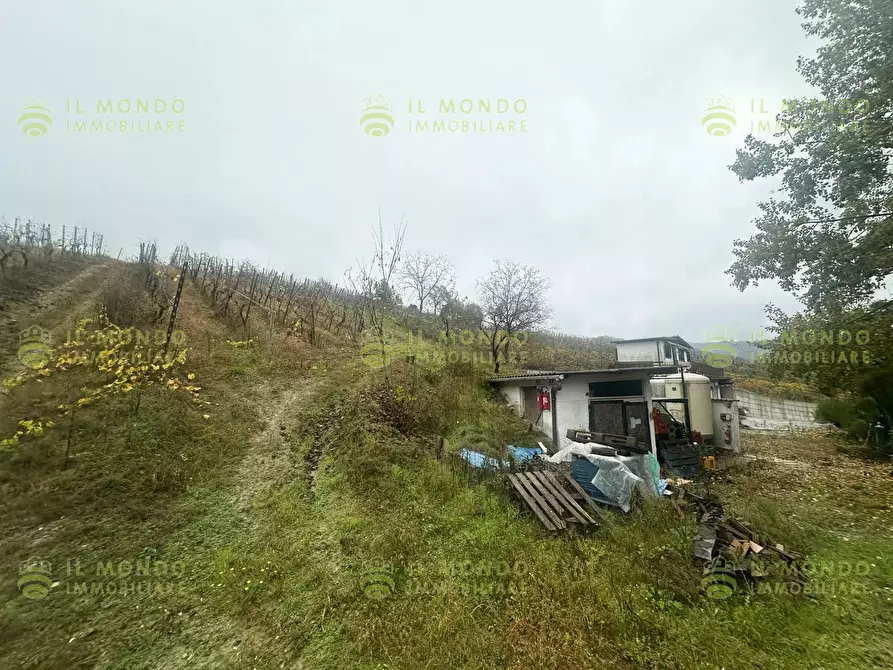 Immagine 25 di Terreno edificabile in vendita  in Località Lago, 15 a Albaredo Arnaboldi