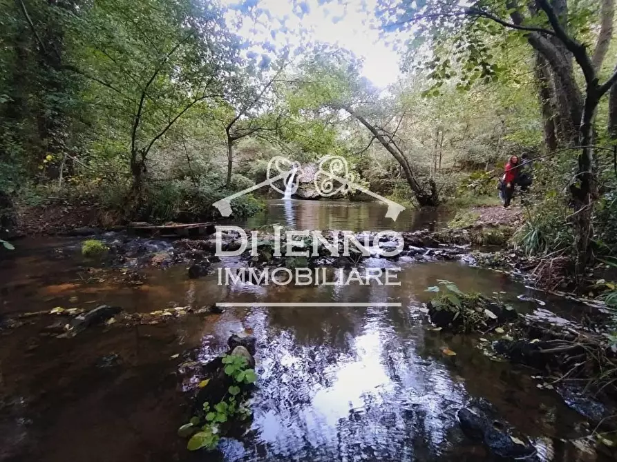 Immagine 63 di Terreno edificabile in vendita  in Strada Valle del Dragone a Arlena Di Castro