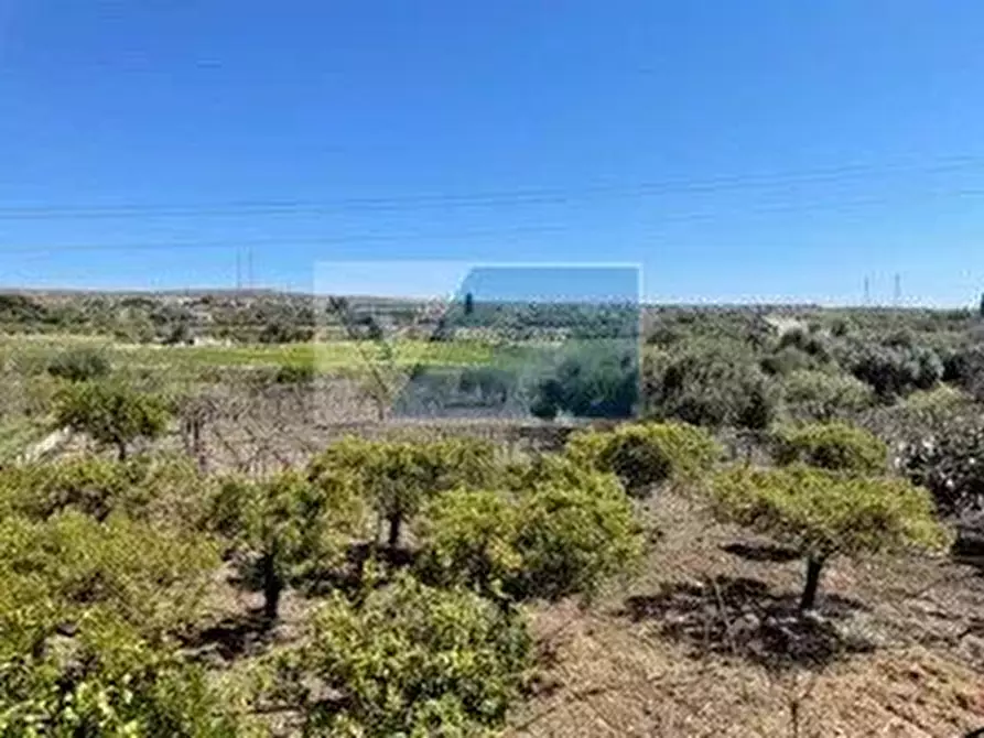 Immagine 17 di Terreno edificabile in vendita  a Siracusa