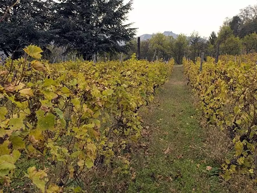 Immagine 19 di Terreno edificabile in vendita  a Santo Stefano Belbo