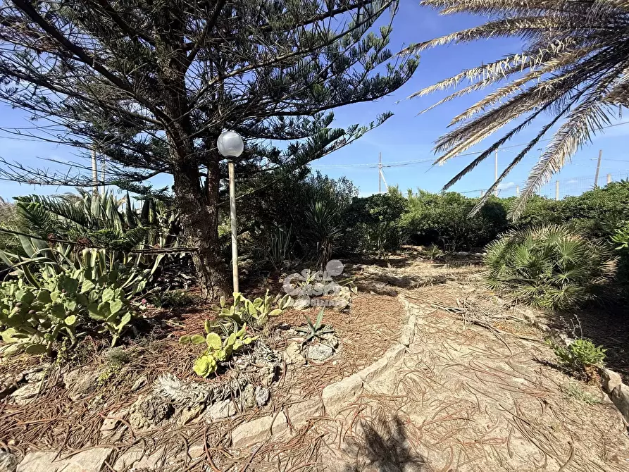 Immagine 18 di Terreno edificabile in vendita  a Marsala