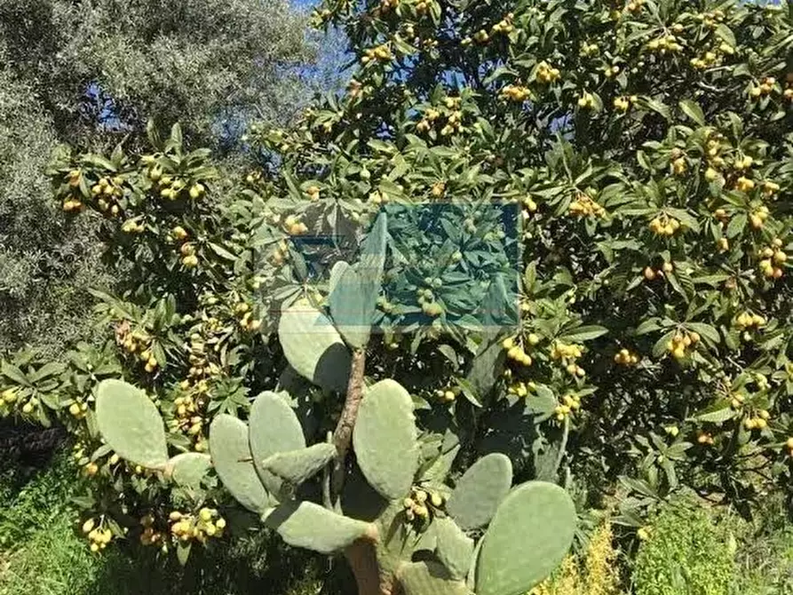 Immagine 2 di Terreno in vendita  a Siracusa