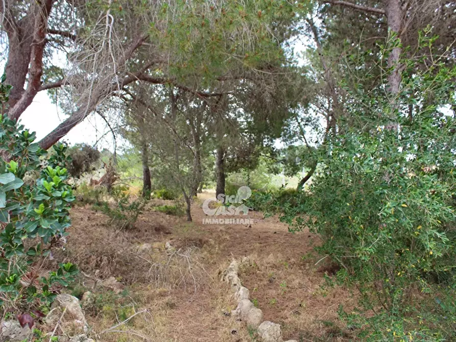 Immagine 15 di Terreno edificabile in vendita  a Marsala