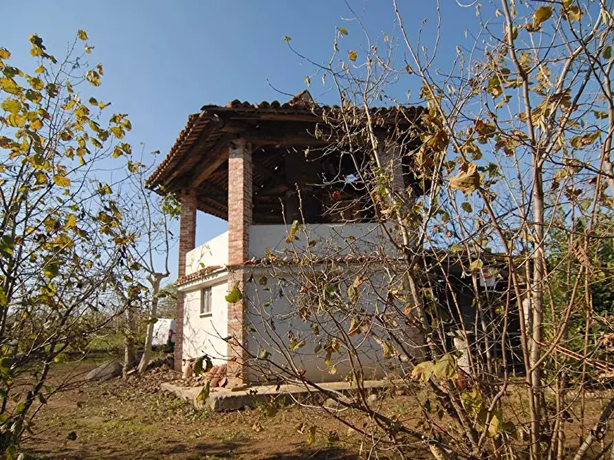Immagine 5 di Terreno edificabile in vendita  a Carrù