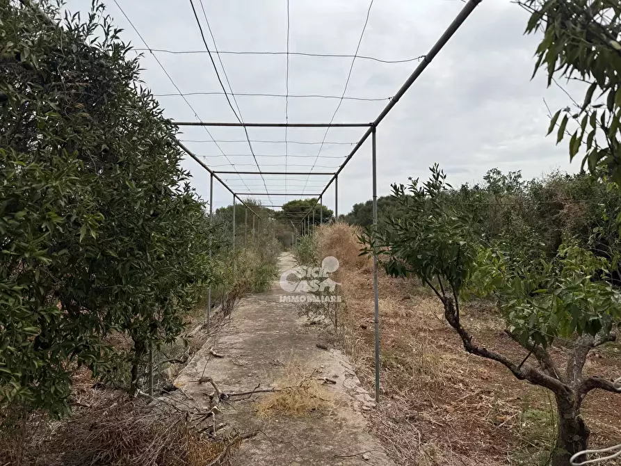 Immagine 2 di Terreno edificabile in vendita  in Contrada Bosco a Marsala