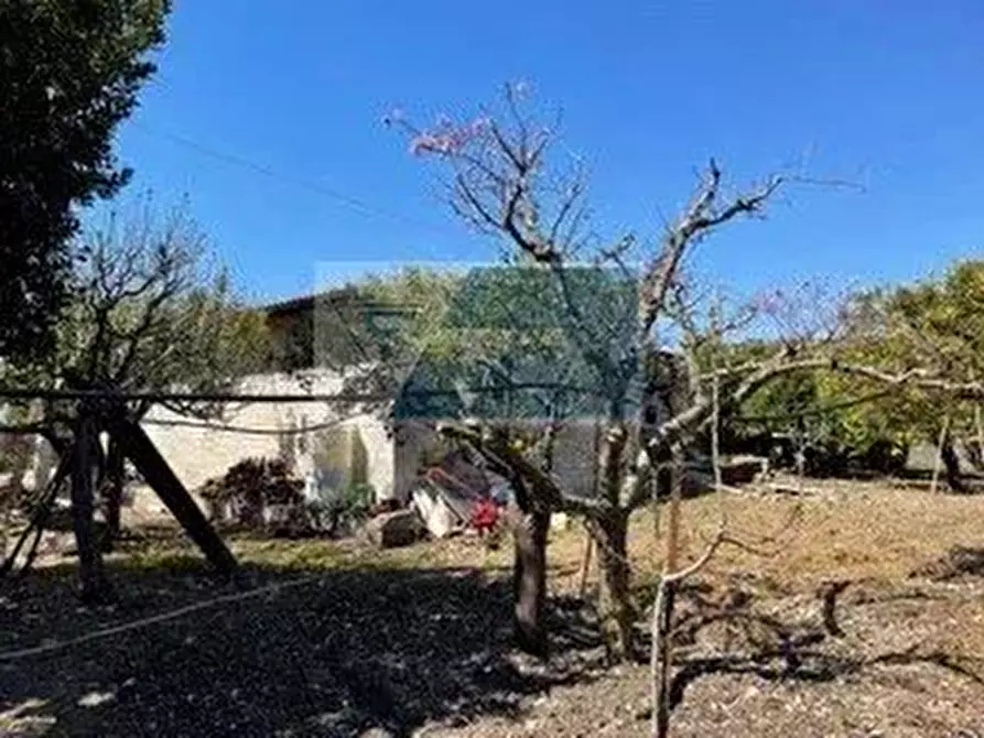 Immagine 5 di Terreno edificabile in vendita  a Siracusa